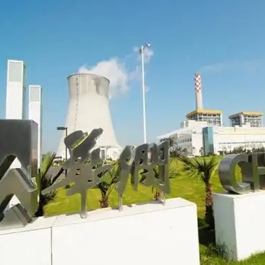 安徽华阳CEMS伴热取样管在阜阳华润电力投入使用